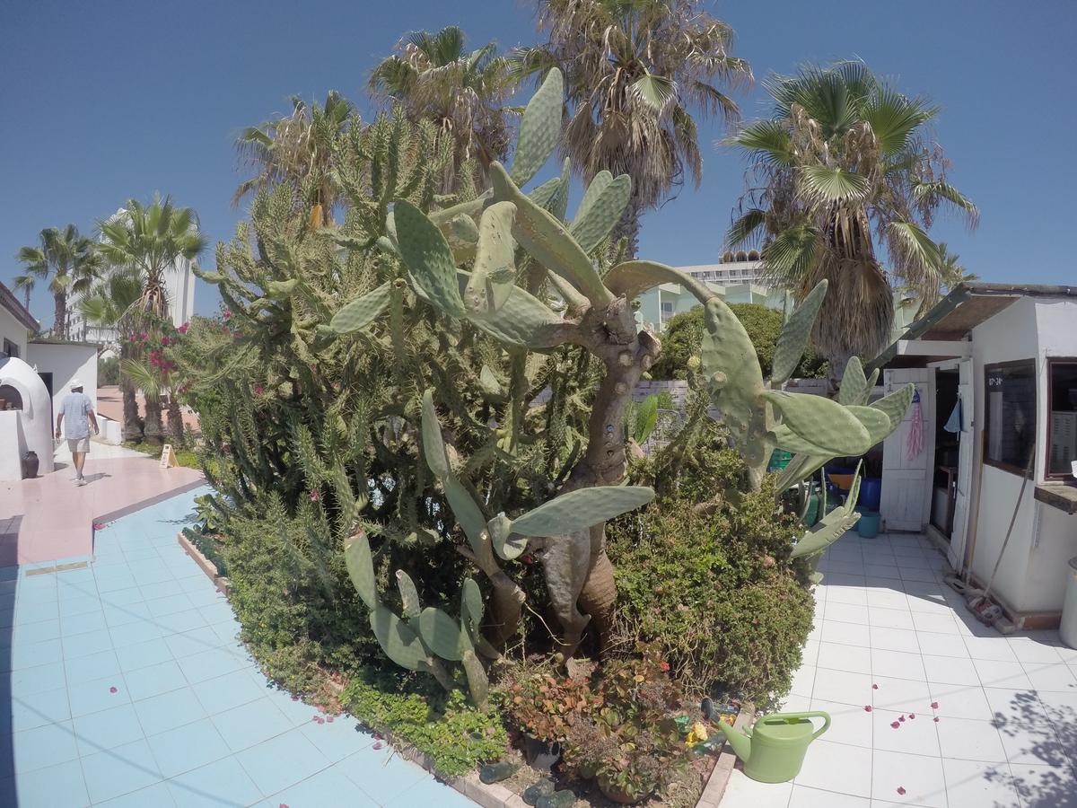 Babutsa Rooms Famagusta (Northern Cyprus) Exterior foto